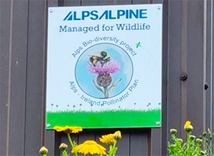 Wildflower Cultivation (Ireland)
