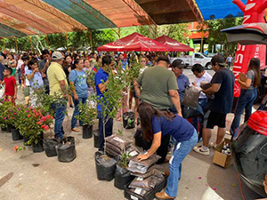 Utilization of Organic Waste (Mexico)